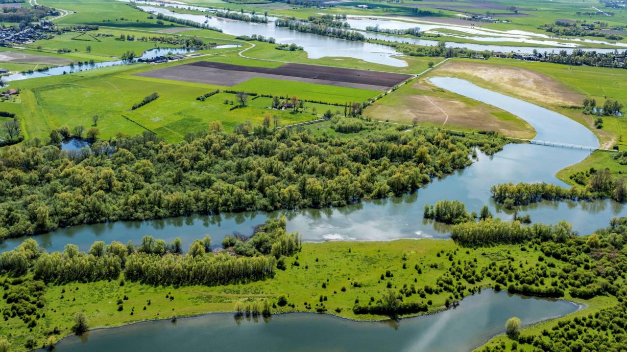 Dutch nature