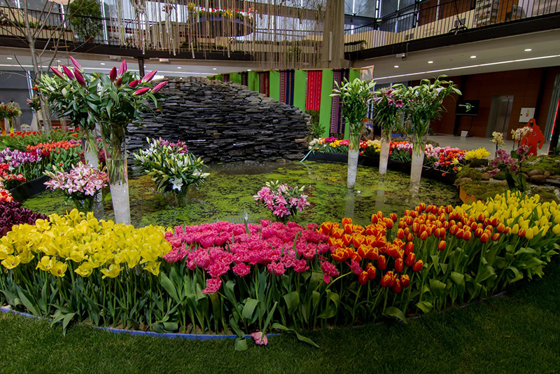 Flower-Exhibitions